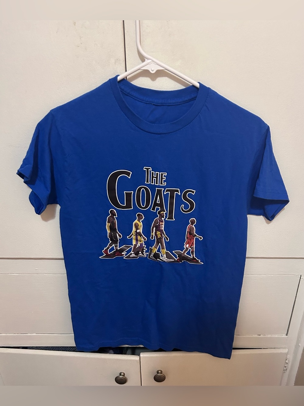 The GOATS BOYS size medium 10/12 shirt